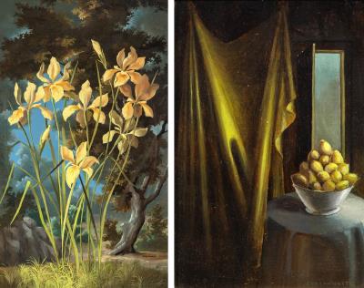 (i) Still Life with Drape and Lemons; (ii) Yellow Iris
