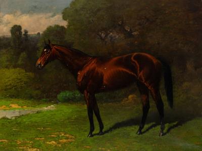 Meddler, 1898