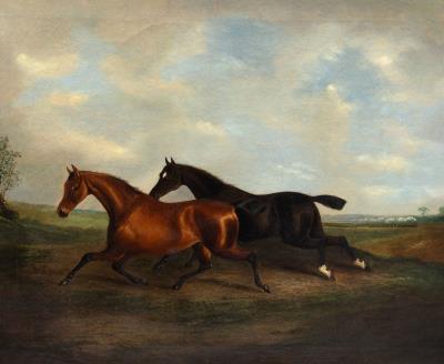 Two Horses in a Landscape