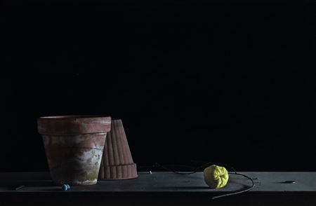 Still Life with Hollyberries and Quince