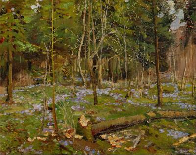 Spring Forest
