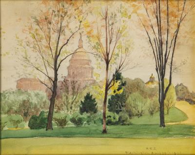 American, 20th century Washington, D.C. in Spring, 1901