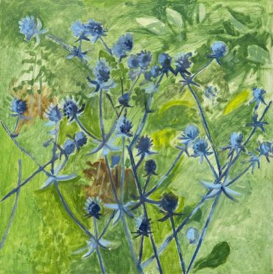 Sea Holly