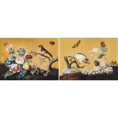 The Goldfinch and The White-Headed Parrot: A Pair
