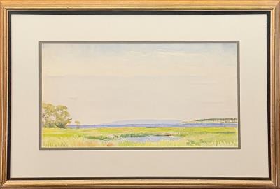 Cape Landscape
