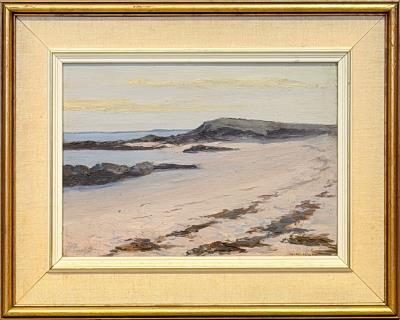 Dunes and Shore