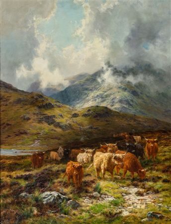 In the Western Highlands