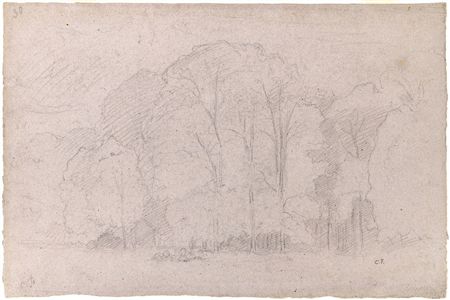 Trees