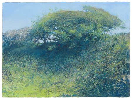 May Hawthorn Penberth by Paul Lewin - Auction record, sale price, and art valuation. Compare with similar artists and explore comparable artworks.