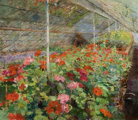 The Begonias
