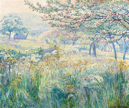 The Flowering Meadow