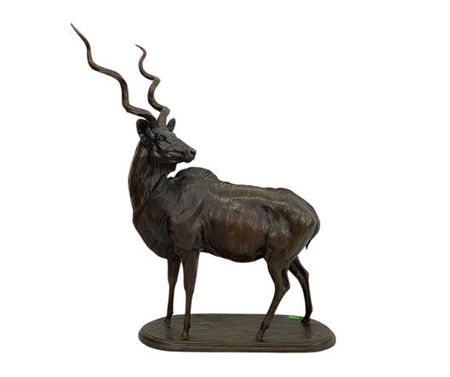 African Kudu