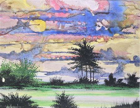 Opaque Skies