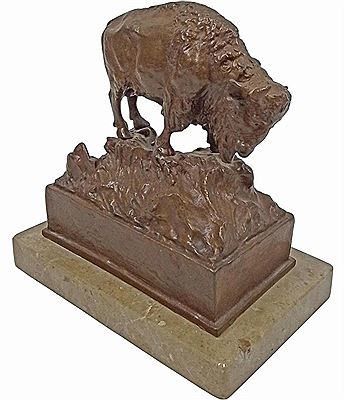 Bison