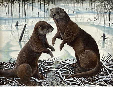 Otters