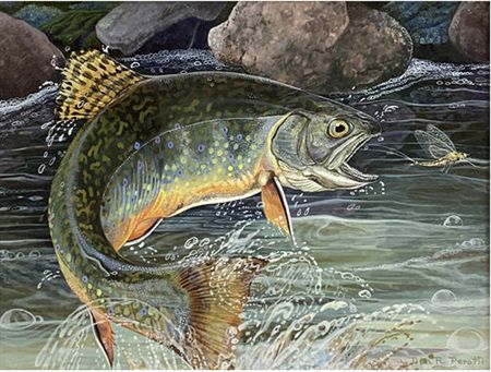 Trout