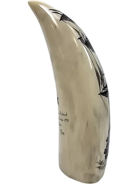 Ship Scrimshaw Whale Tooth
