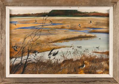 Canada geese in a marsh.