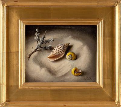 Still life of shells in the sand