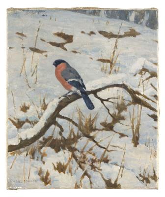 Songbird in winter