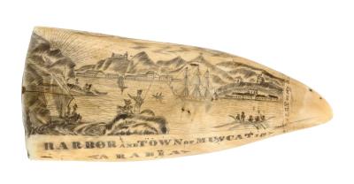 Whale's Tooth