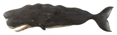 Carved Sperm Whale Plaque