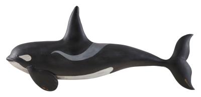 Carved Killer Whale Plaque