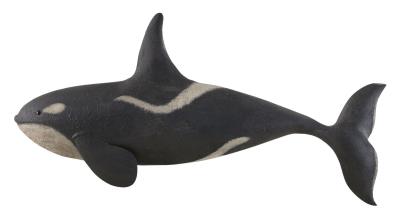 Carved Orca Plaque
