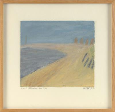 View of Provincetown from Truro