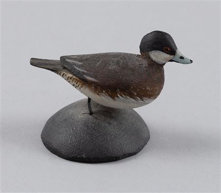 MINIATURE RUDDY DUCK DRAKE