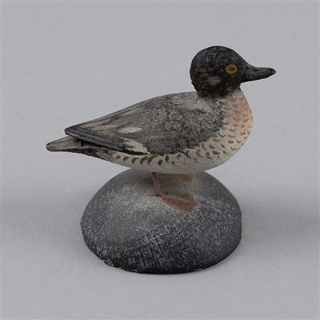 BUFFLEHEAD HEN