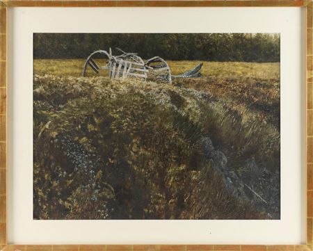 Old lobster trap in a meadow