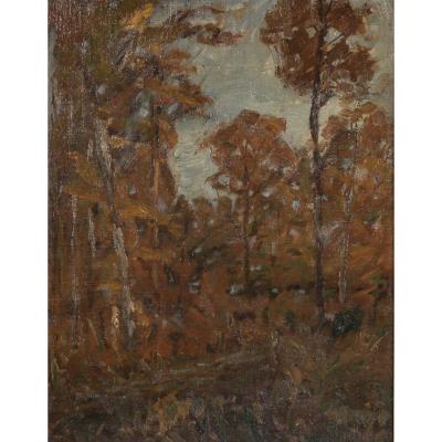 Forest in Autumn