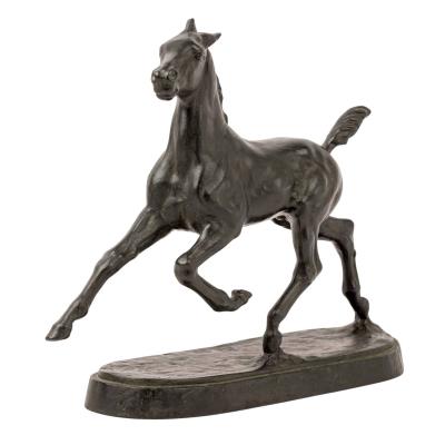 Trotting Foal