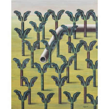 Banana plantation with pipeline