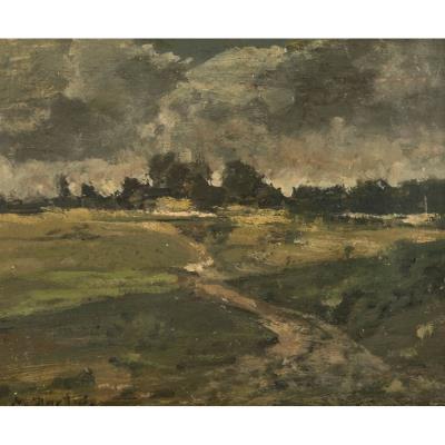 Meadow before a forest edge under a stormy sky