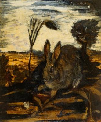 Hare and butterfly