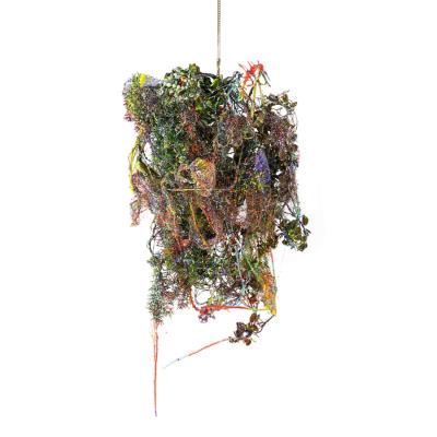 Nest