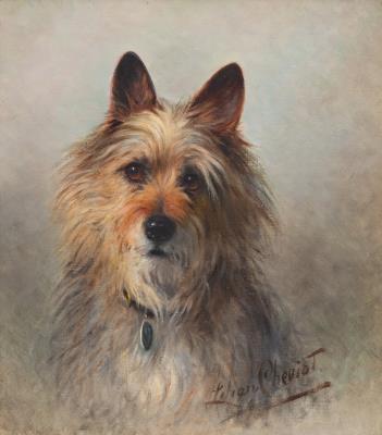 Lost! (Portrait of a Cairn Terrier)
