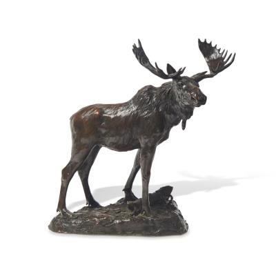 Bull Moose