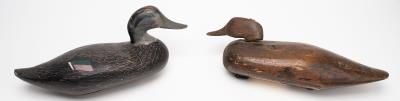 Black Duck Decoy  & Sag Harbor Black Duck Working Decoy