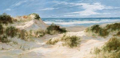Dune landscape on Sylt
