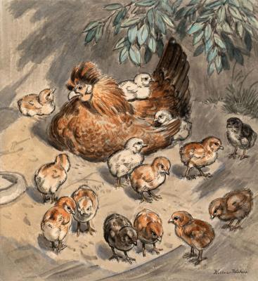 Hen with chick