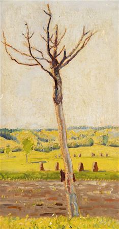 Tree trunk with haystack in the Aibling region