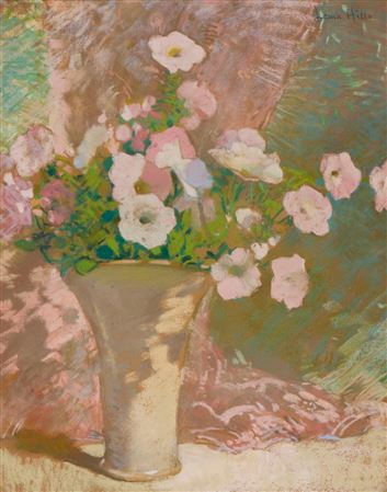 Rosy Morns