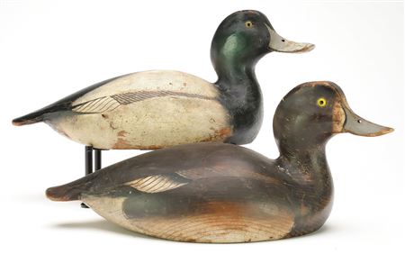 Pair of Bluebills