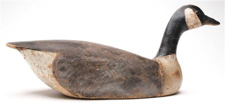 Canada Goose