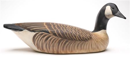 Canada Goose