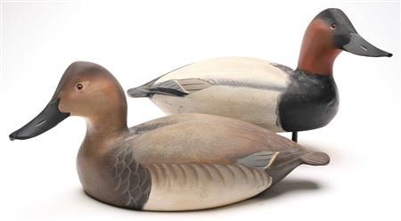 Pair of Canvasbacks