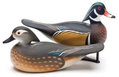 Special pair of wood ducks